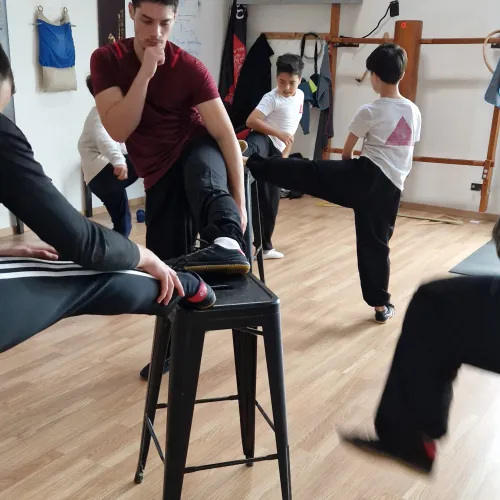 cours wing chun
